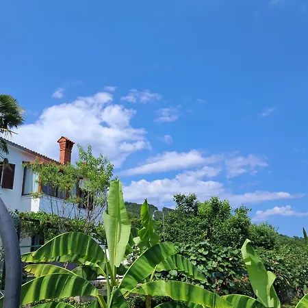 Kuca Draga - Nono Vakantiehuis Opatija